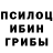 Псилоцибиновые грибы прущие грибы Katea Tentiuc