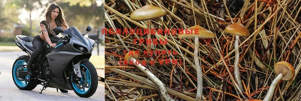 mdpv Абдулино