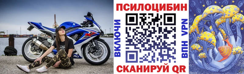Псилоцибиновые грибы Psilocybine cubensis Томари